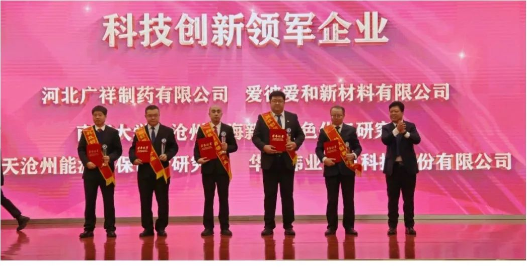 爱彼爱和荣获沧州临港经济技术开发区“创新领军企业”称号